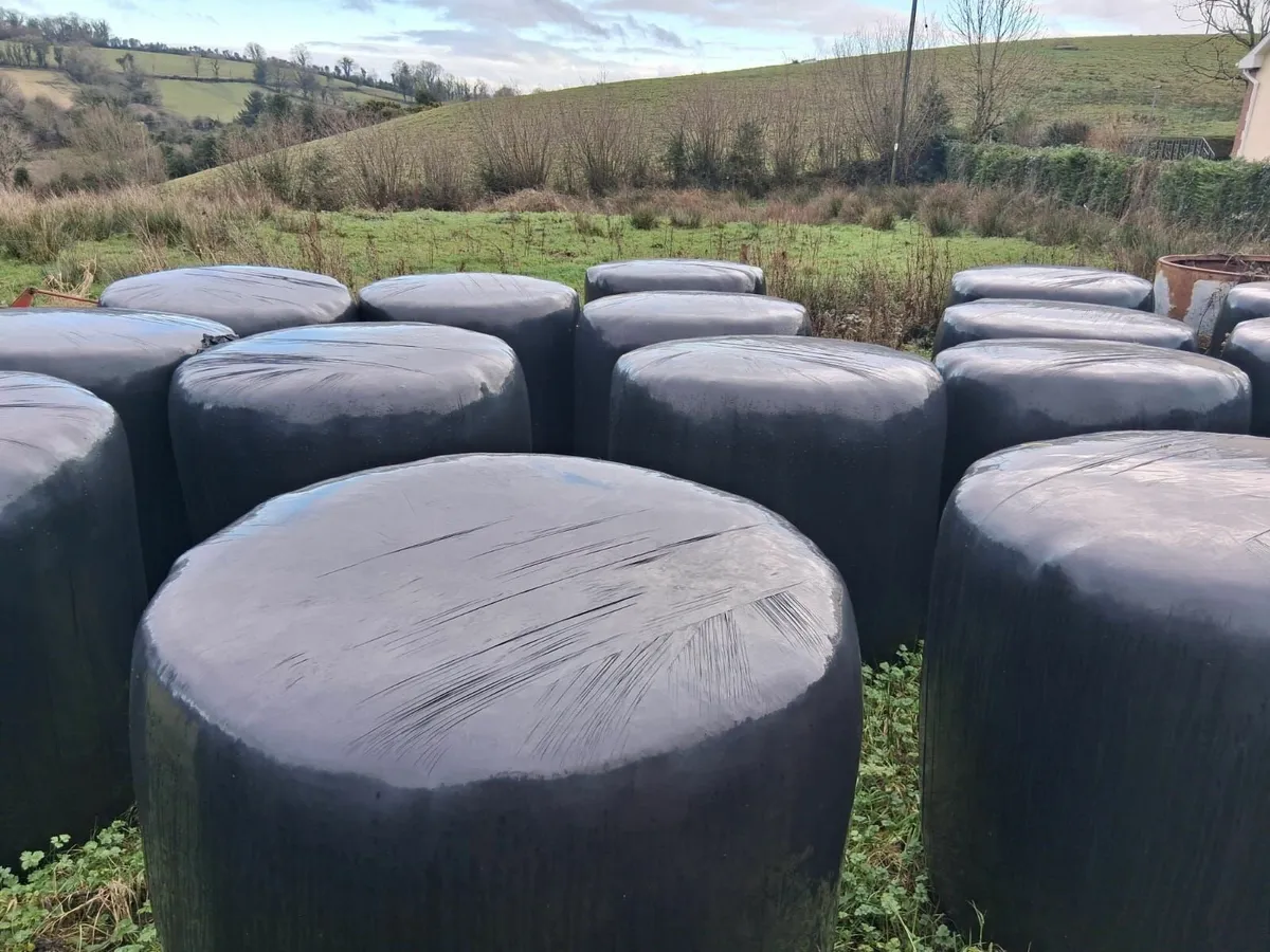 Round Bales For Sale