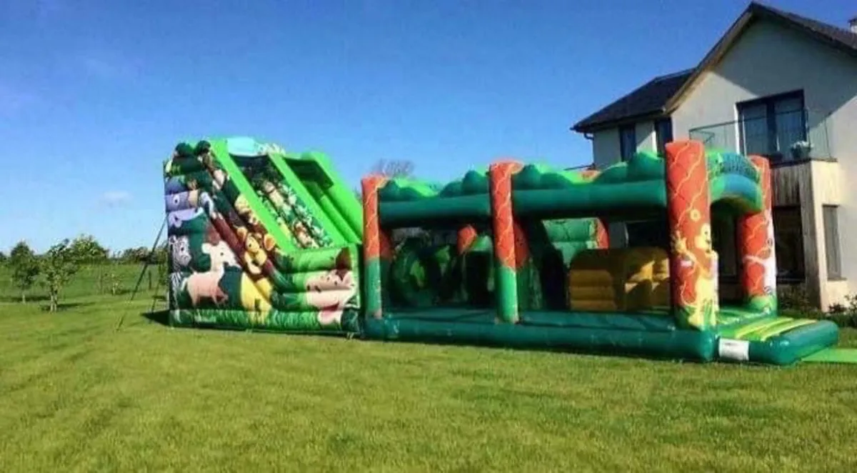 Bouncy castles - Image 2