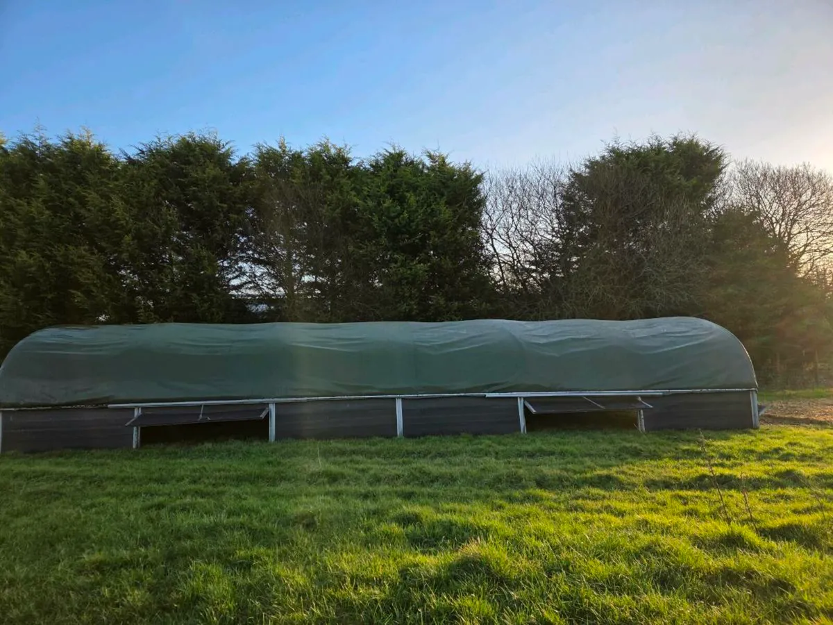 Mobile Poultry Tunnel - Image 2