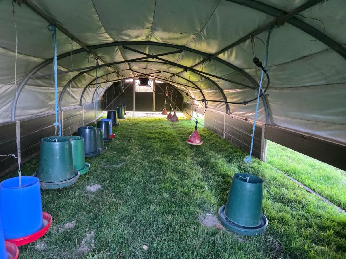 Mobile Poultry Tunnel - Image 4