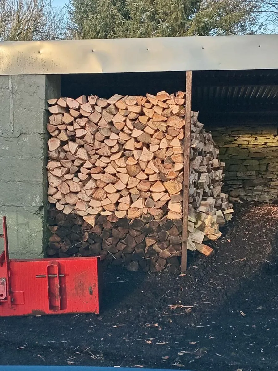 Fire wood - Image 1