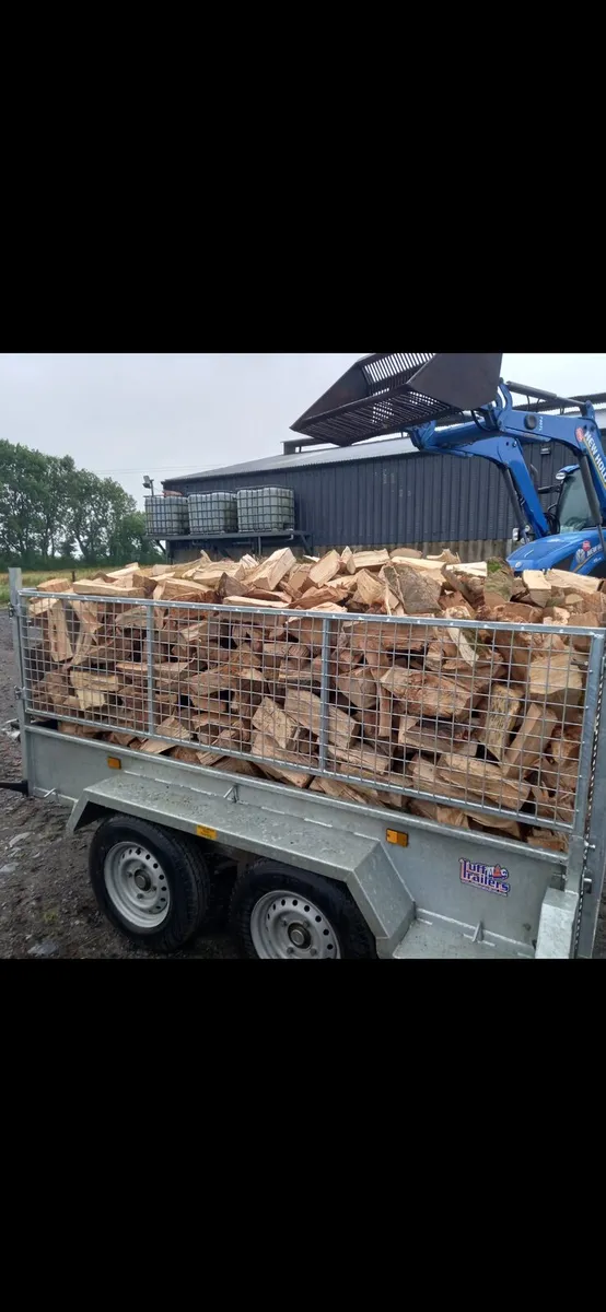 Fire wood - Image 2