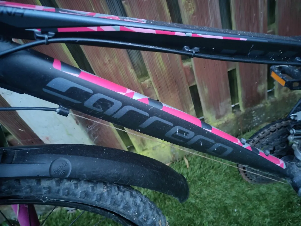 Teen Bicycles - Image 3