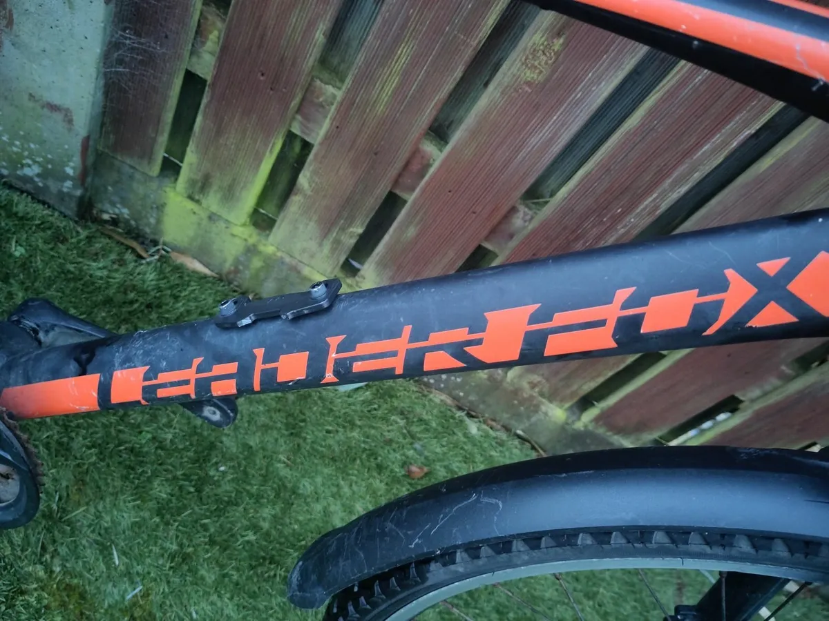 Teen Bicycles - Image 4