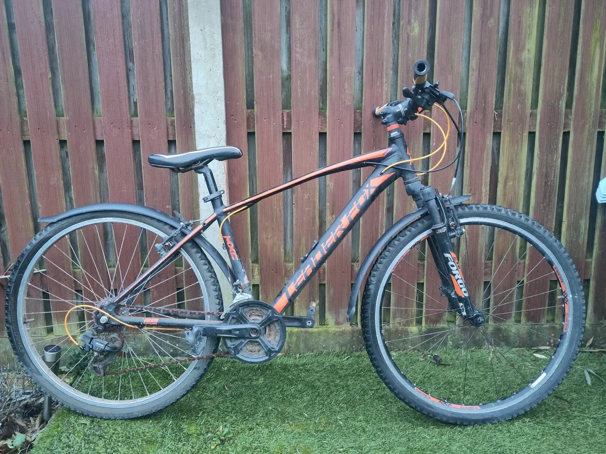 Teen Bicycles - Image 2