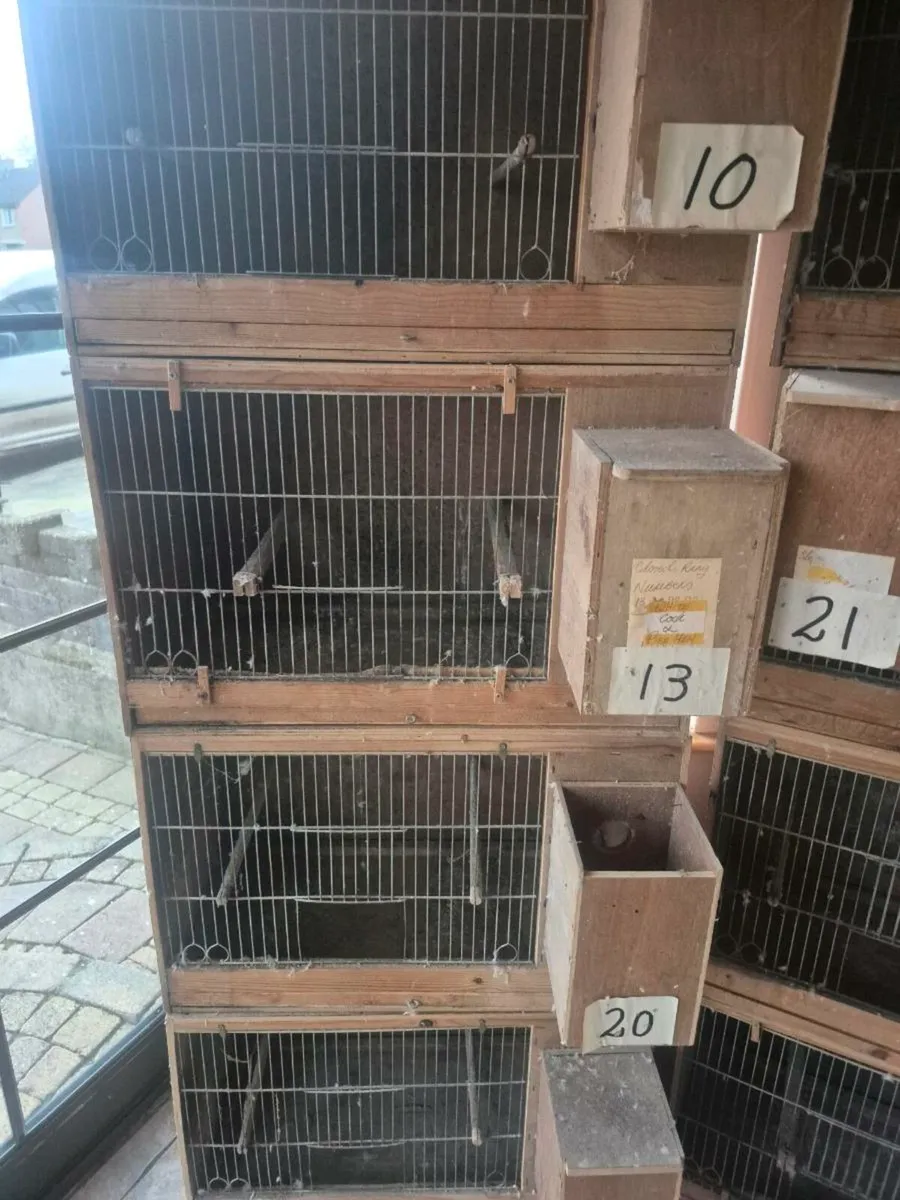 Single breeding cages - Image 2