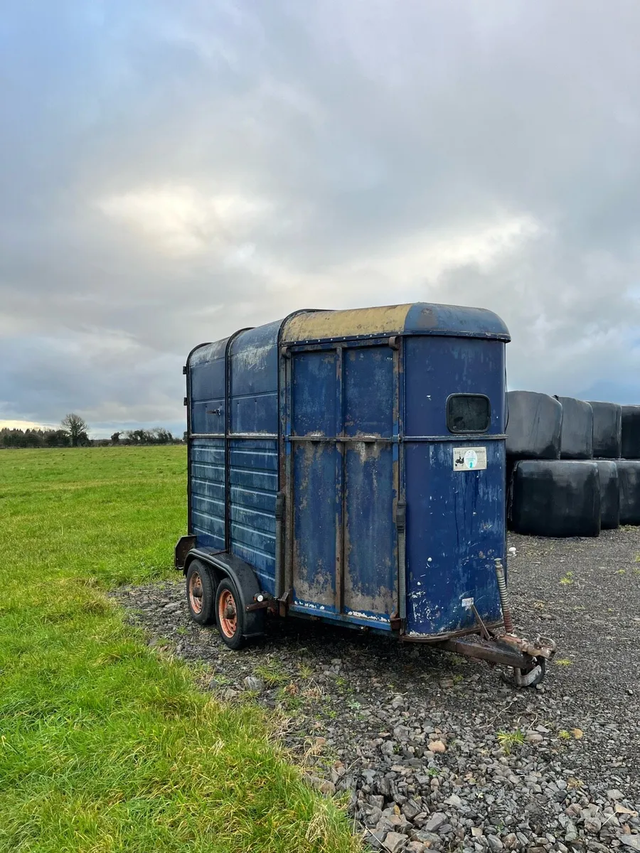 Rice Horsebox - Twin Axle trailer - Tows well. - Image 2