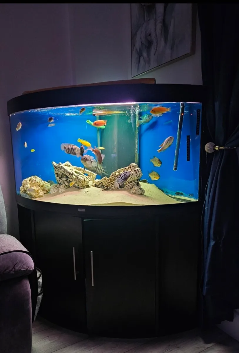 350 litre juwel corner unit - Image 1