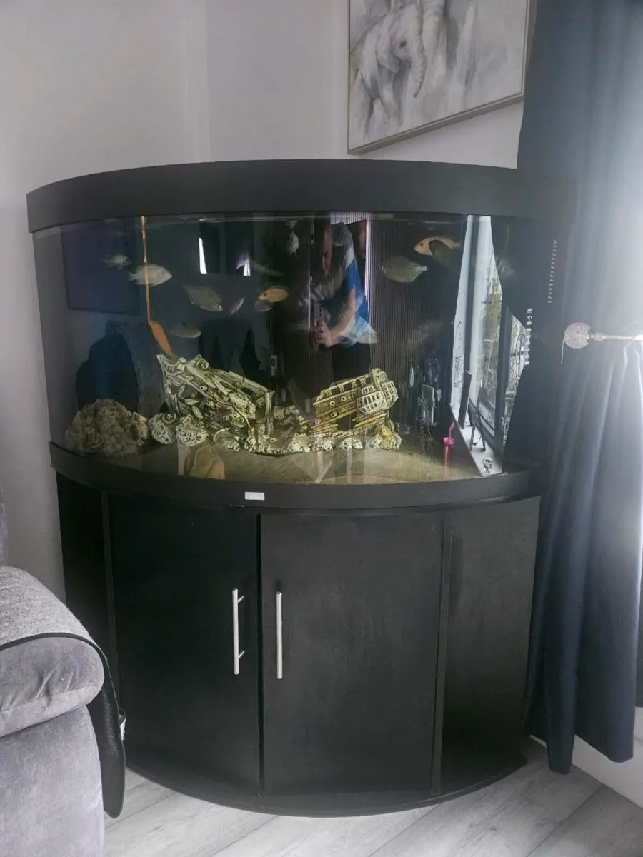 350 litre juwel corner unit - Image 2