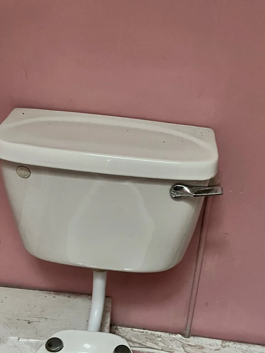 Toilet and cistron - Image 2