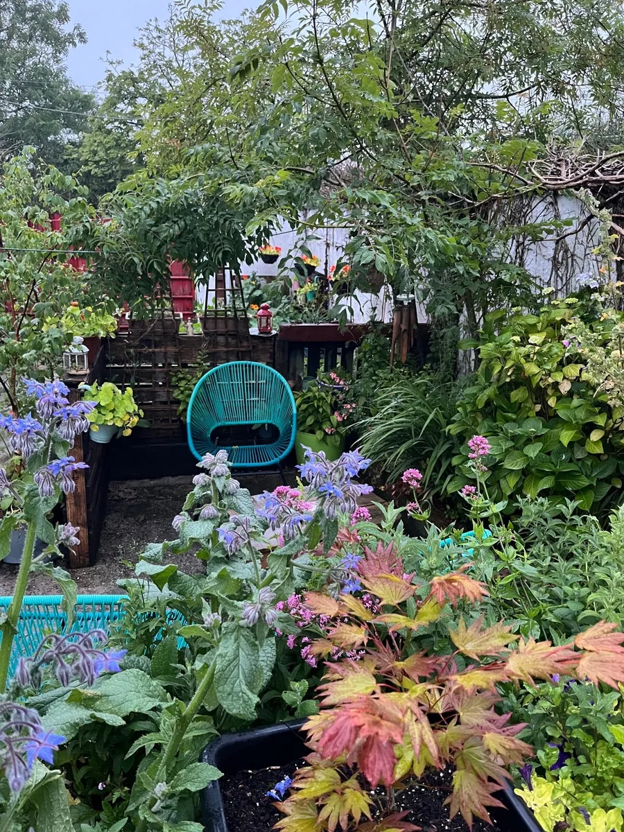 Garden/ Patio Turquoise Chairs €60 for pair - Image 1