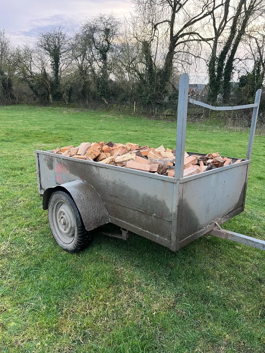 Ash hardwood firewood - Image 1