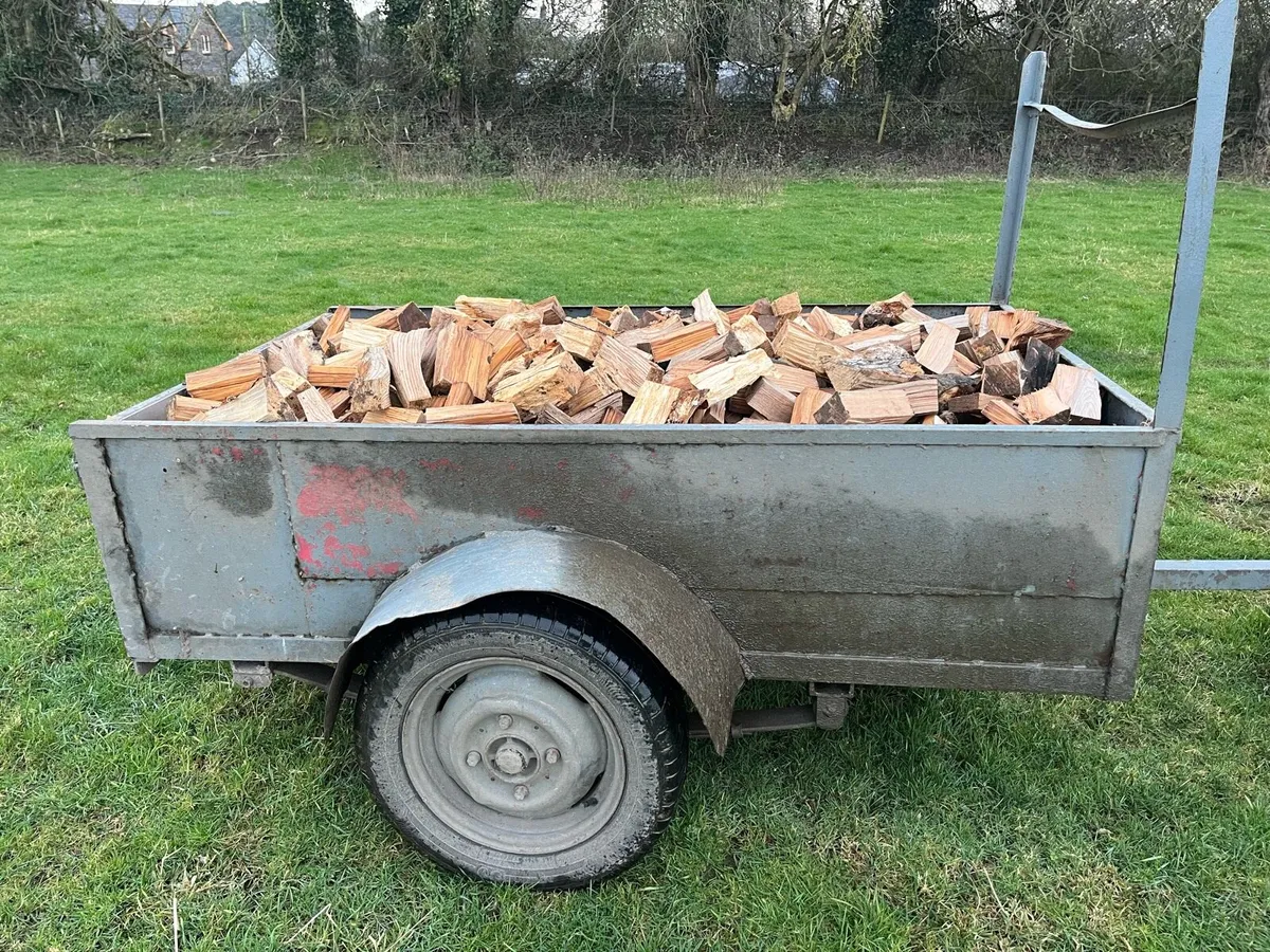 Ash hardwood firewood - Image 2