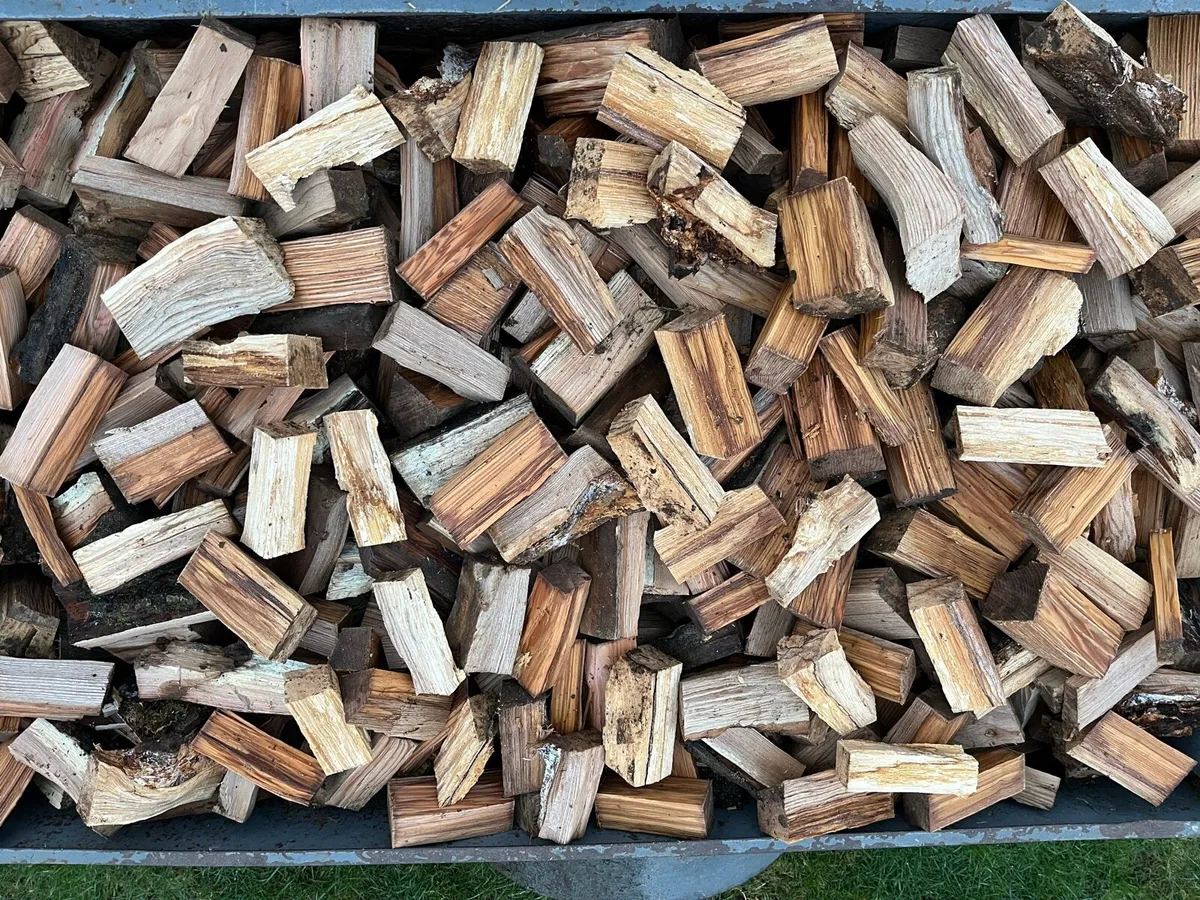 Ash hardwood firewood - Image 3