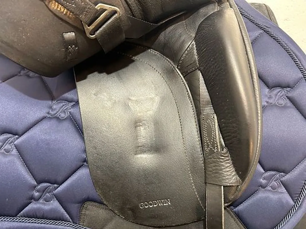 Goodwin Dressage Medium 17.5" Black Saddle - Image 4