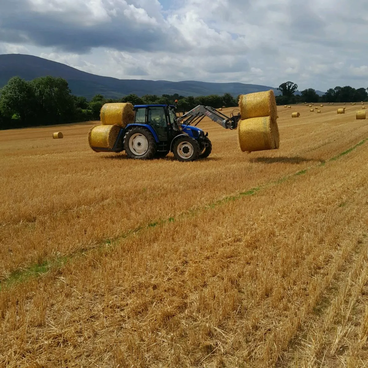 Tractor and trailer hire - Image 3