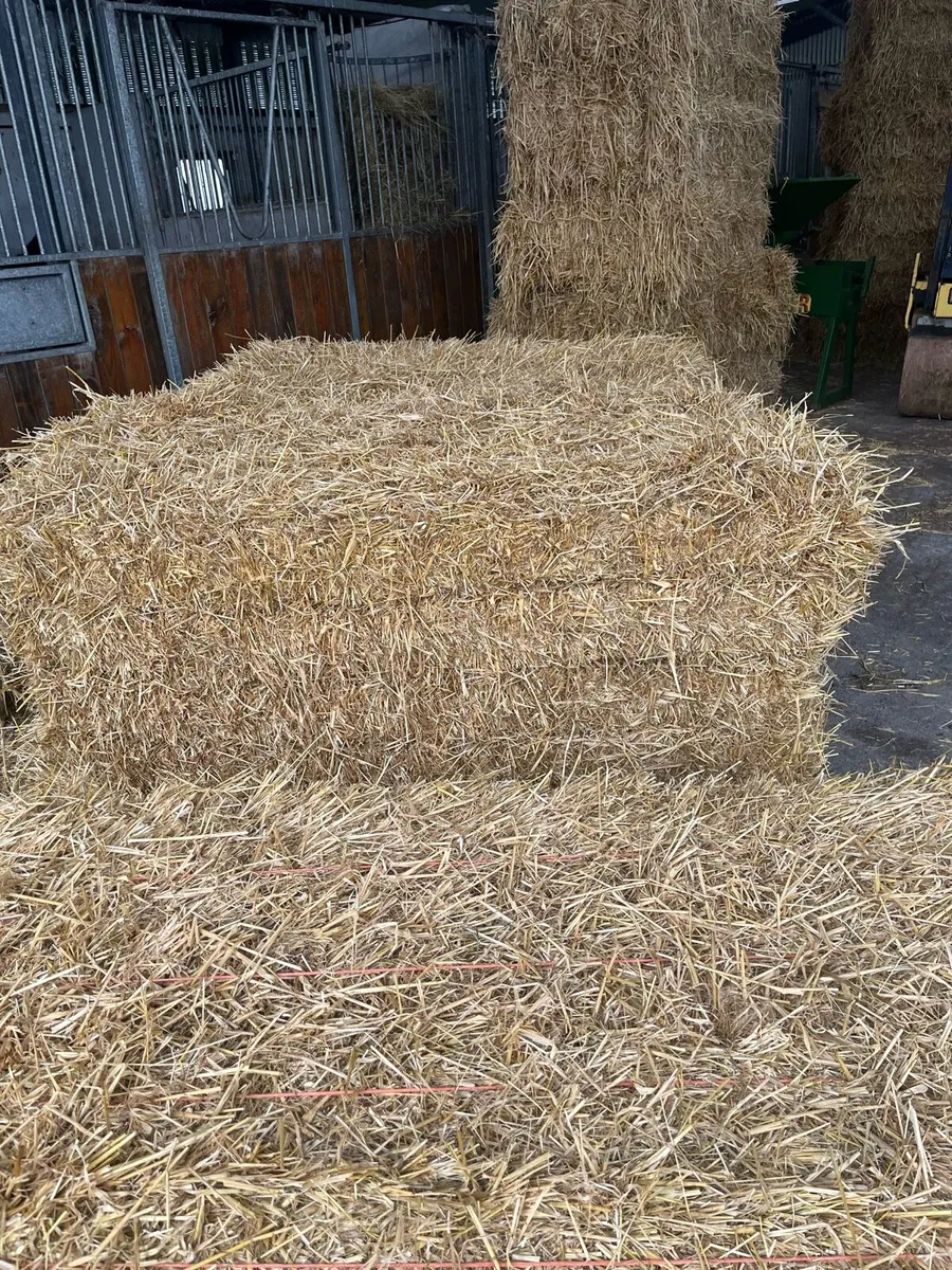 Straw - Image 2