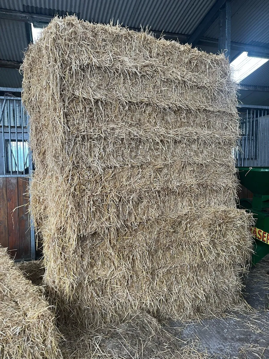Straw - Image 3