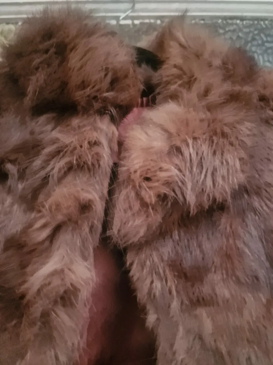 Vintage brown real fur ladies jacket (post incl) - Image 2