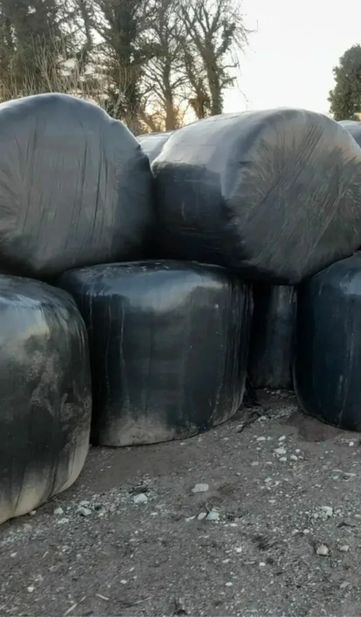 Silage Bales for Sale