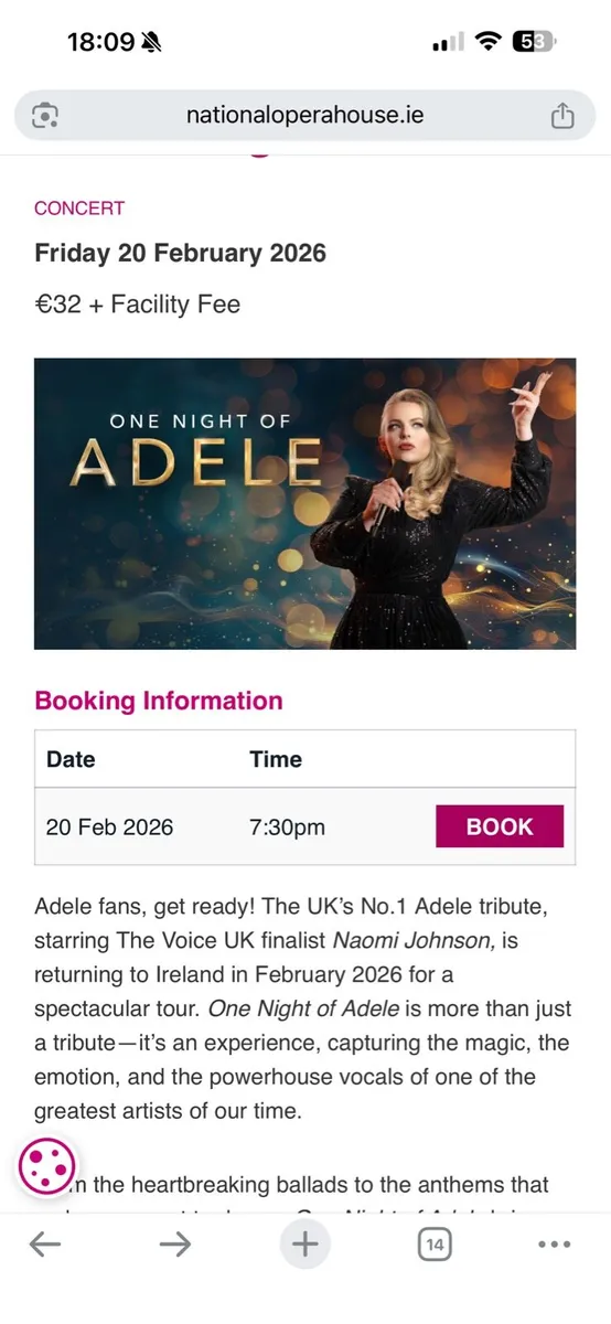 One night of Adele - a stunning tribute . Wexford - Image 1