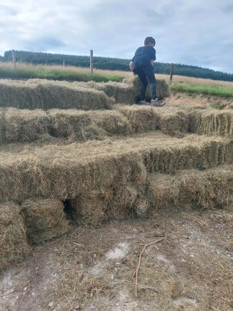 Hay bales - Image 3