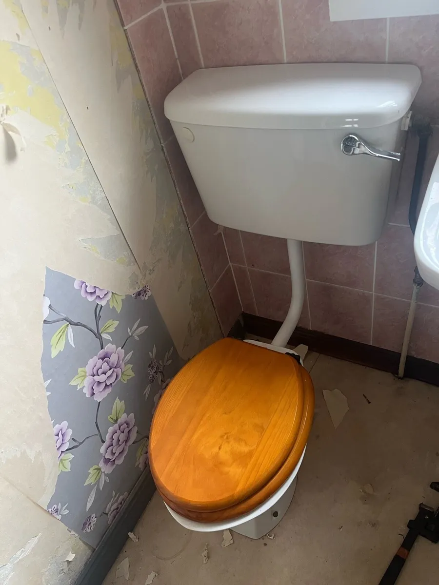 sink and toilet free - Image 4