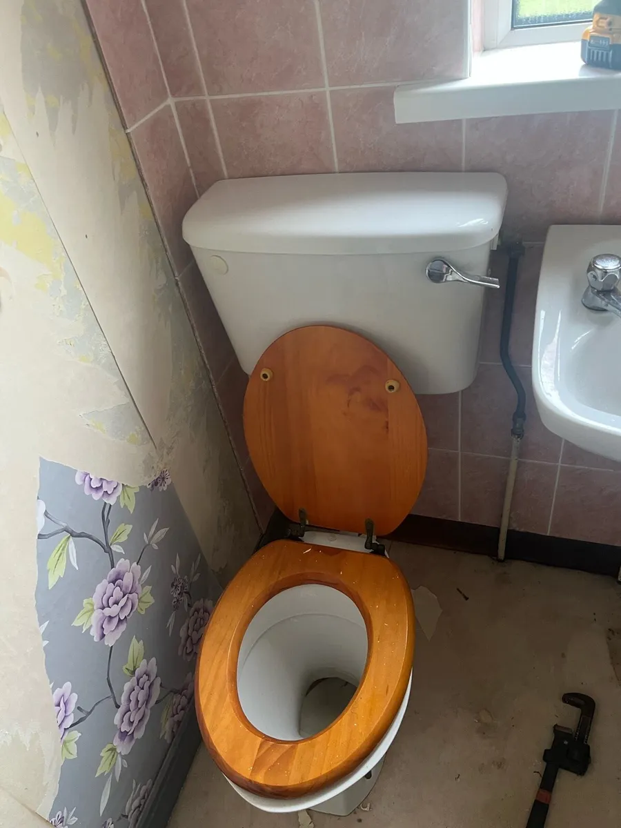 sink and toilet free - Image 3