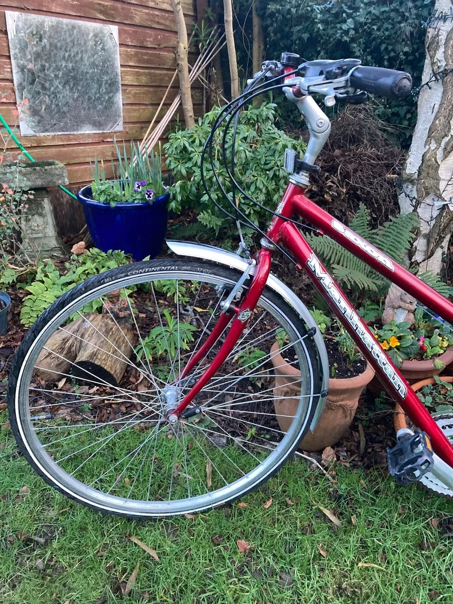 Vintage Ladies Bike - Image 3