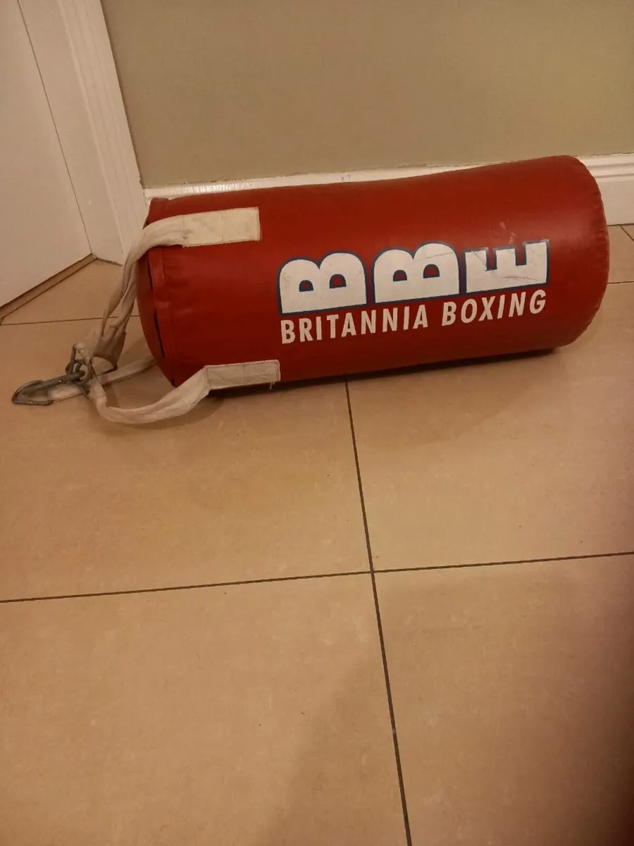 Punch bag - Image 2