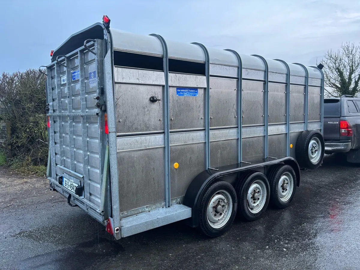 14 foot Iforwilliams trailer - Image 1