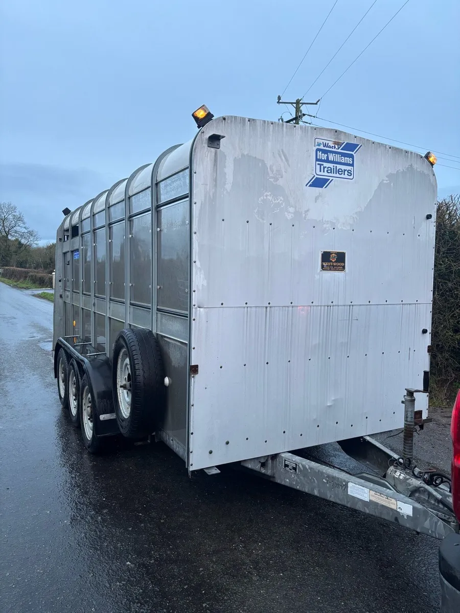 14 foot Iforwilliams trailer - Image 3
