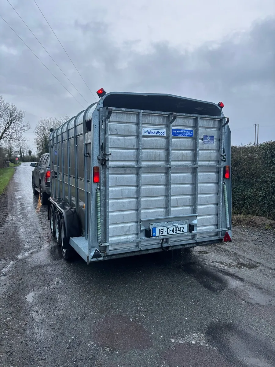 14 foot Iforwilliams trailer - Image 4