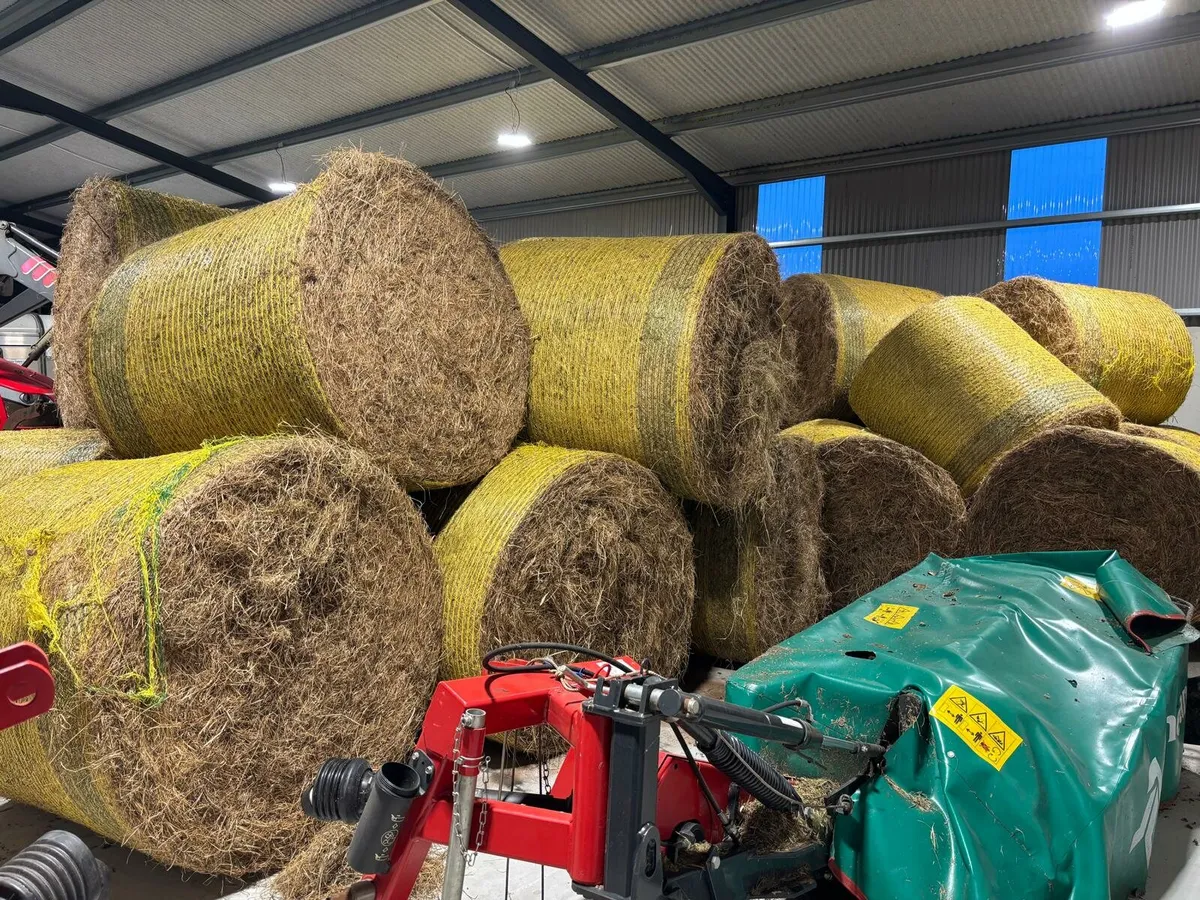 Round Bales Hay - Image 1