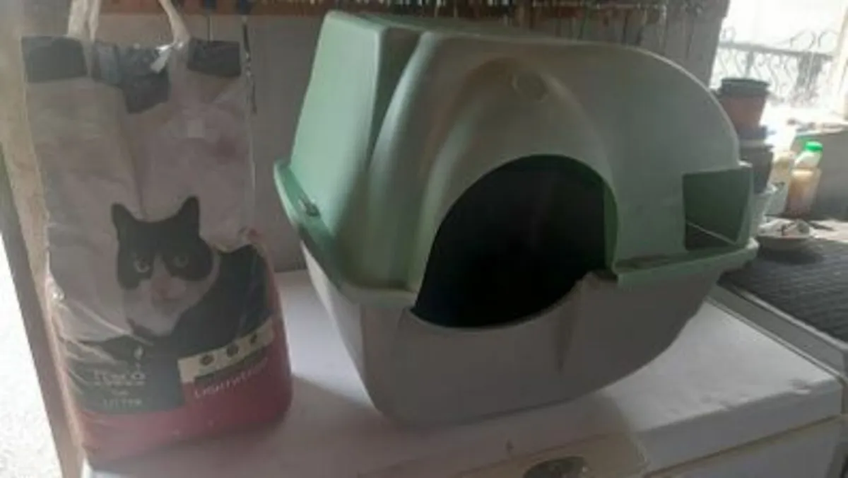 Cat boxes - Image 1