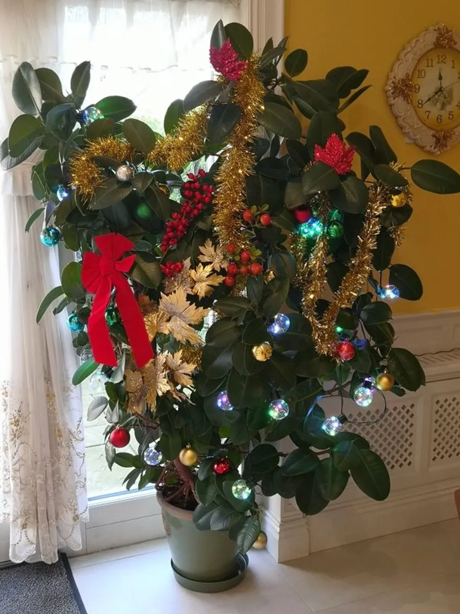 Gigantic rubber plant - Image 1