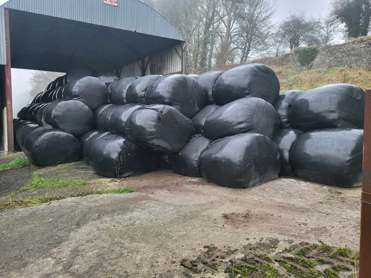 Silage Bales - Image 1