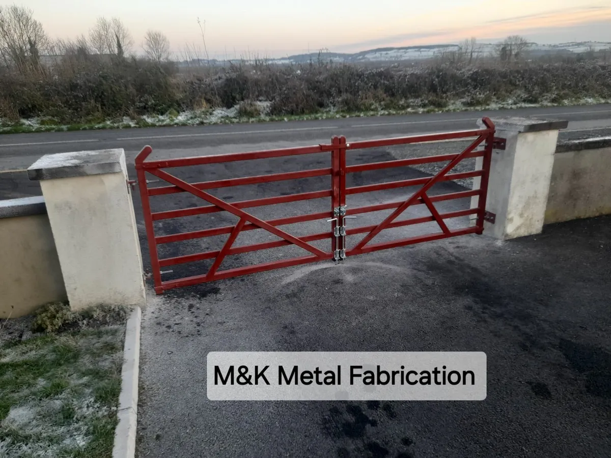 Ranch style metal gates - Image 2