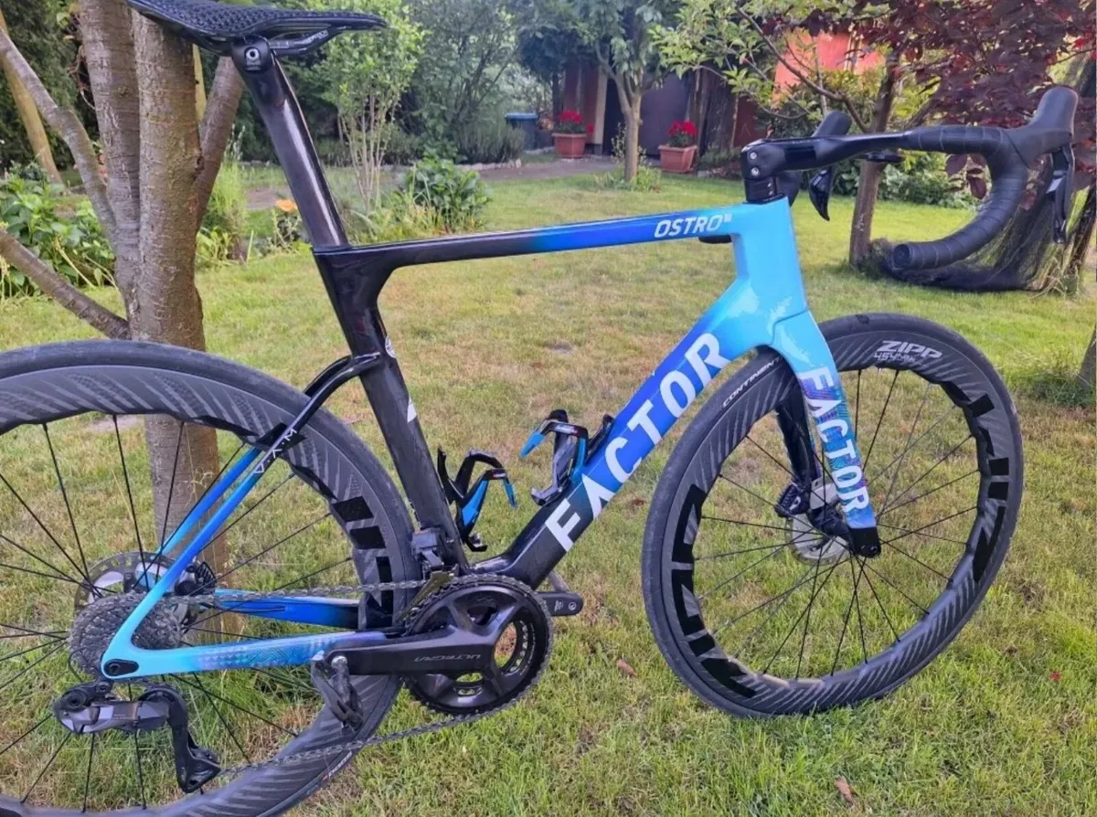 FACTOR  OSTRO V.A.M.     Di2 - Image 1