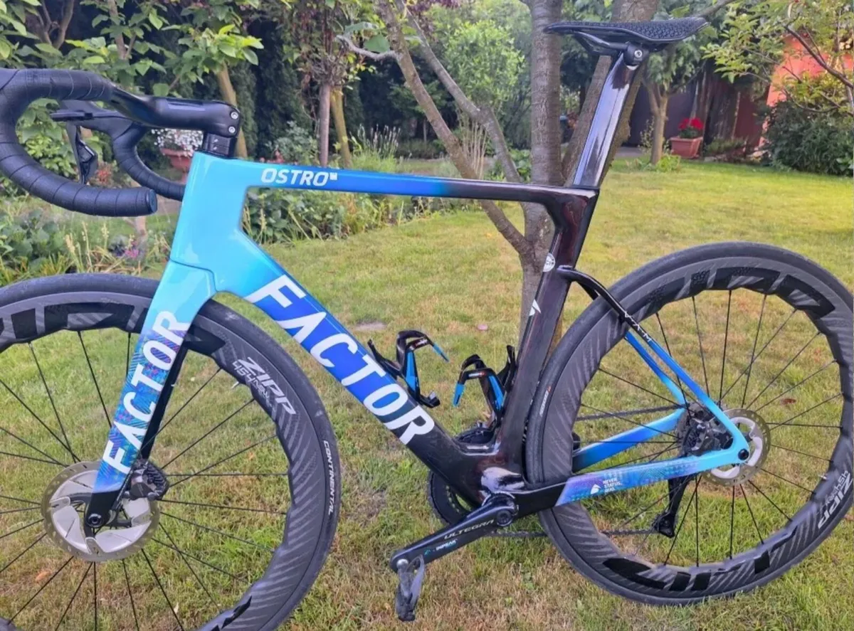 FACTOR  OSTRO V.A.M.     Di2 - Image 3