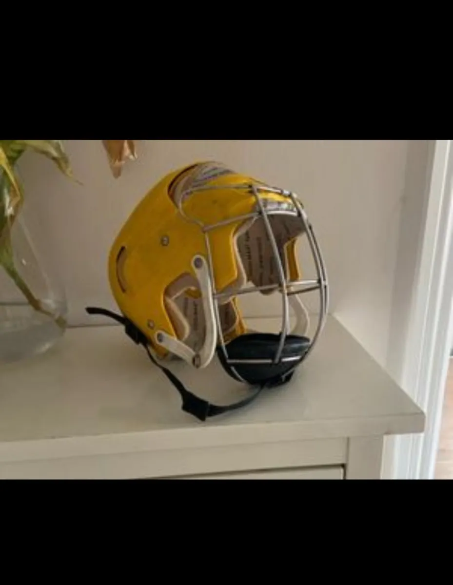 YELLOW SK100 SENIOR FOR SALE/TRADE - Image 2