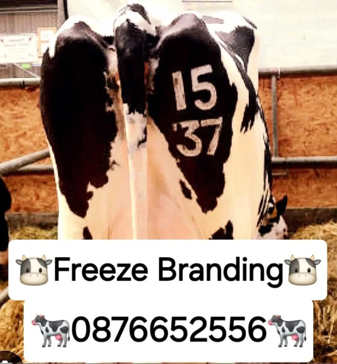 Freeze Branding