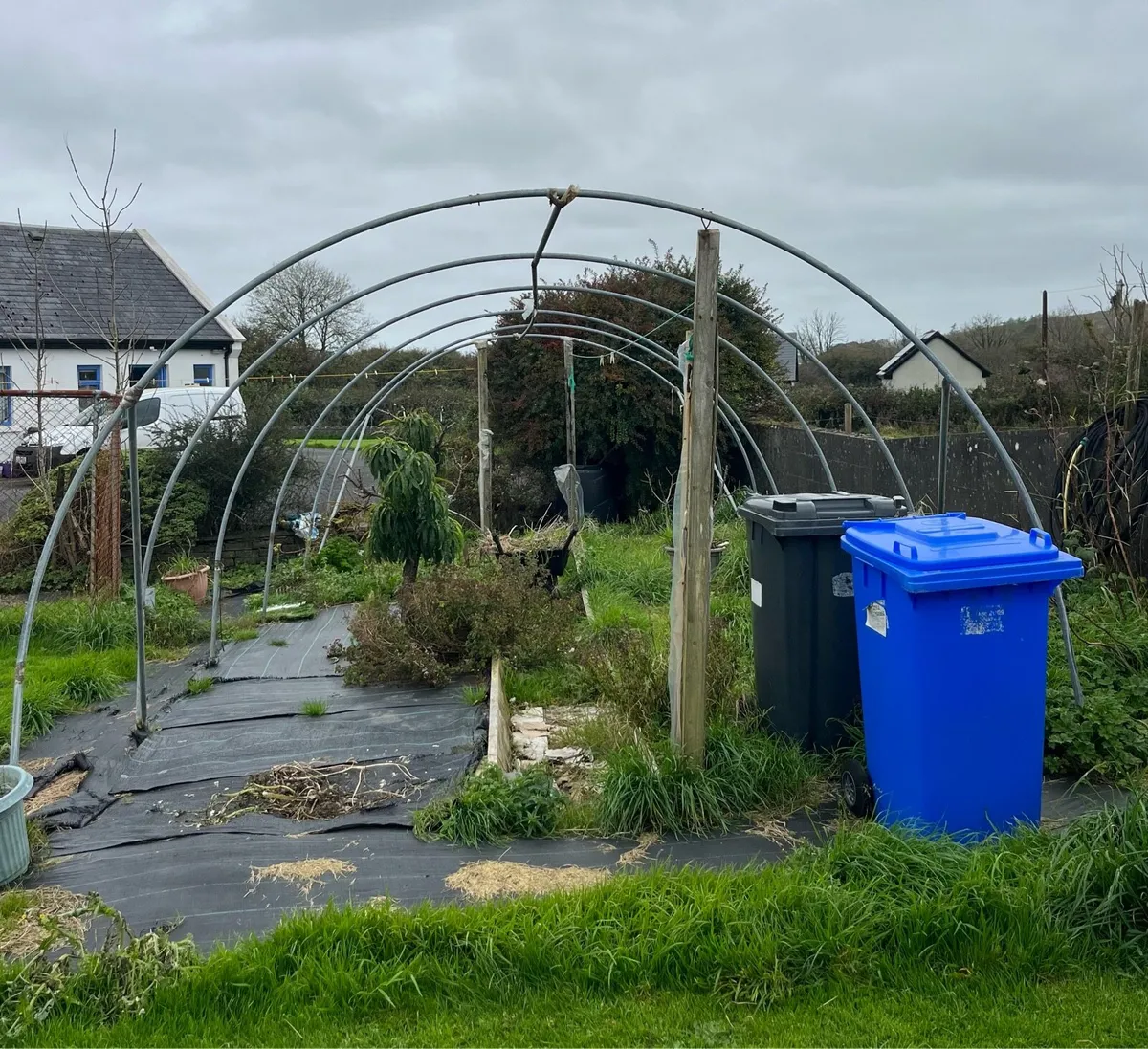 Polly tunnel Frame - Image 3