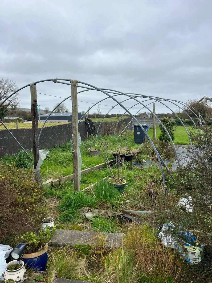 Polly tunnel Frame - Image 2