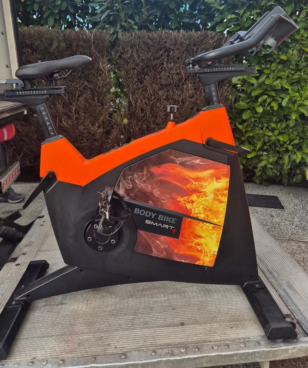 Bundle of 5 Bodybike smart plus bikes - Image 1