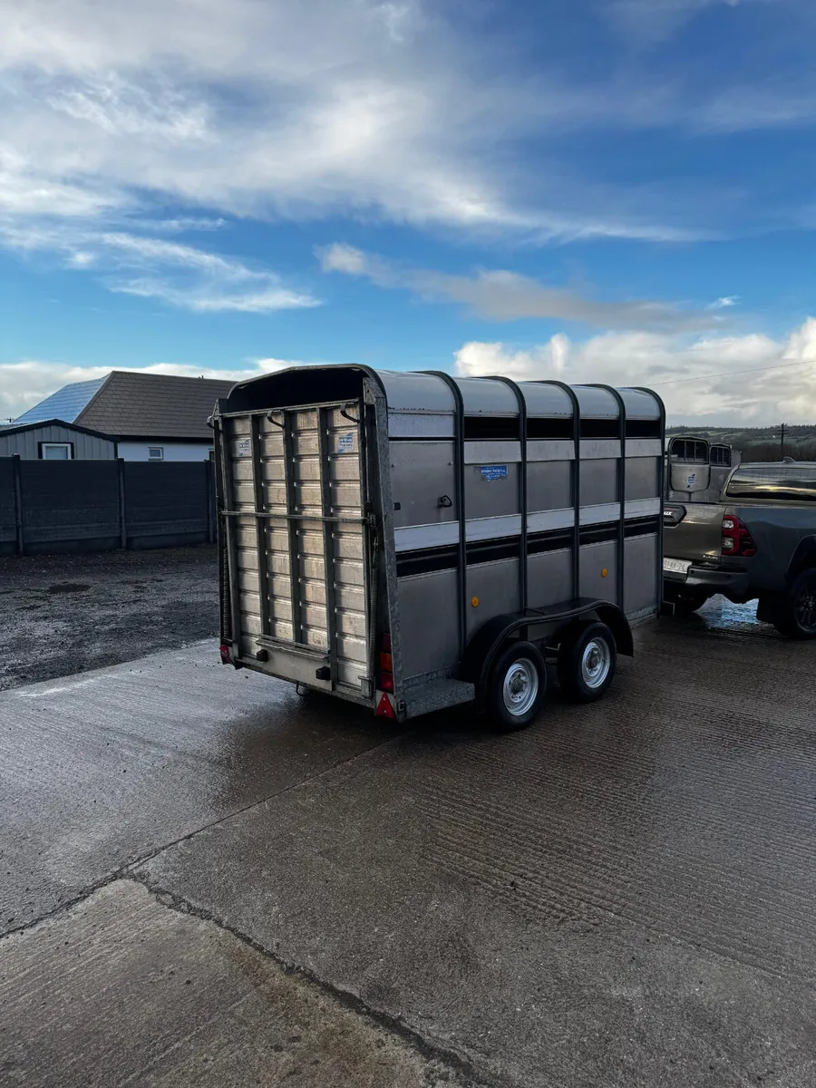 10x5 Ifor Williams cattle box - Image 3