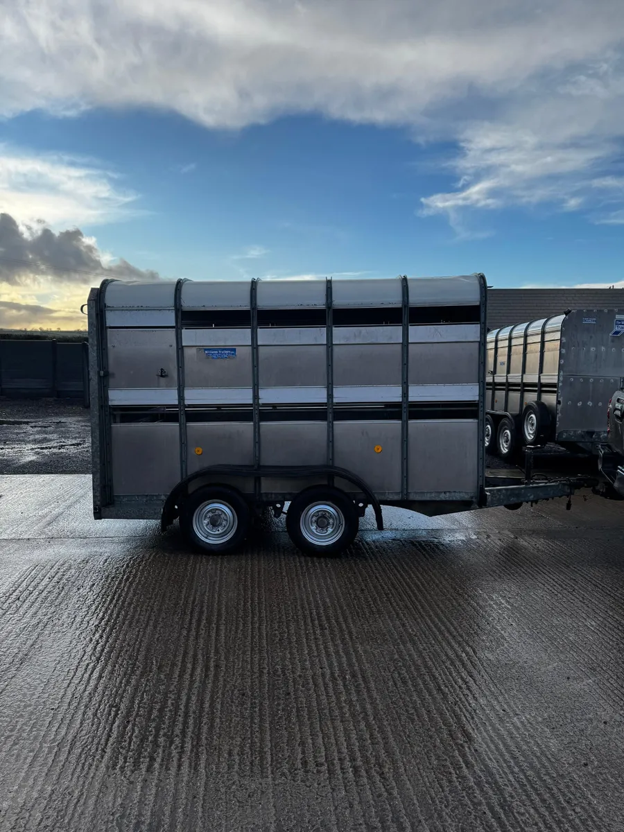 10x5 Ifor Williams cattle box - Image 4