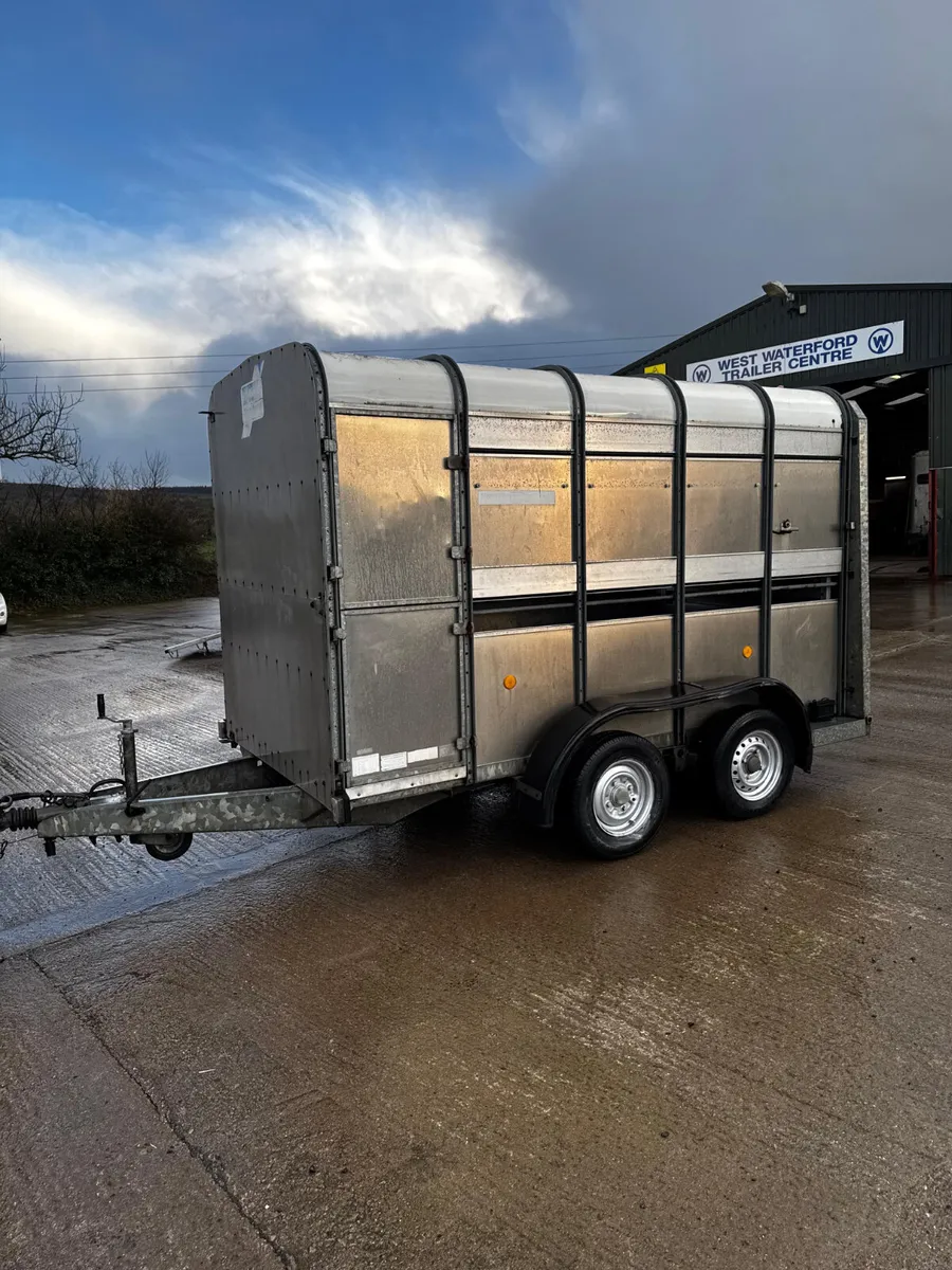 10x5 Ifor Williams cattle box - Image 1