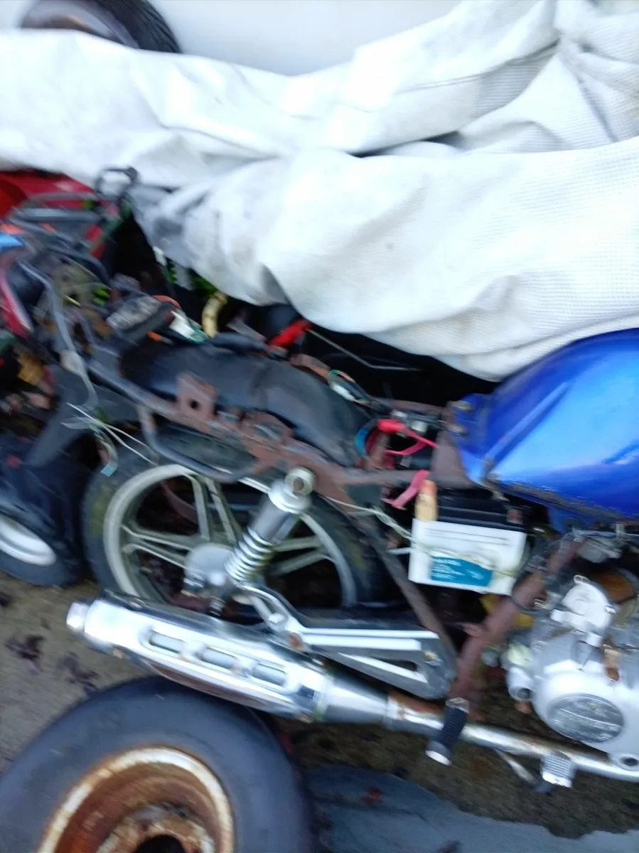 Garage clear out - Image 1