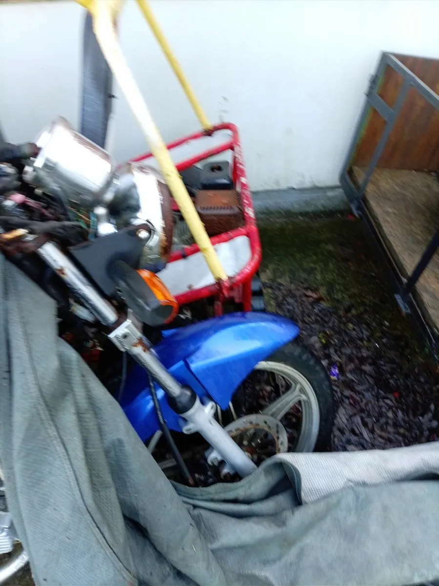 Garage clear out - Image 3